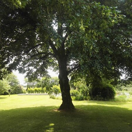 Le Chene Vert Millac  Exterior foto